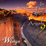 Spirit 9 - Wings